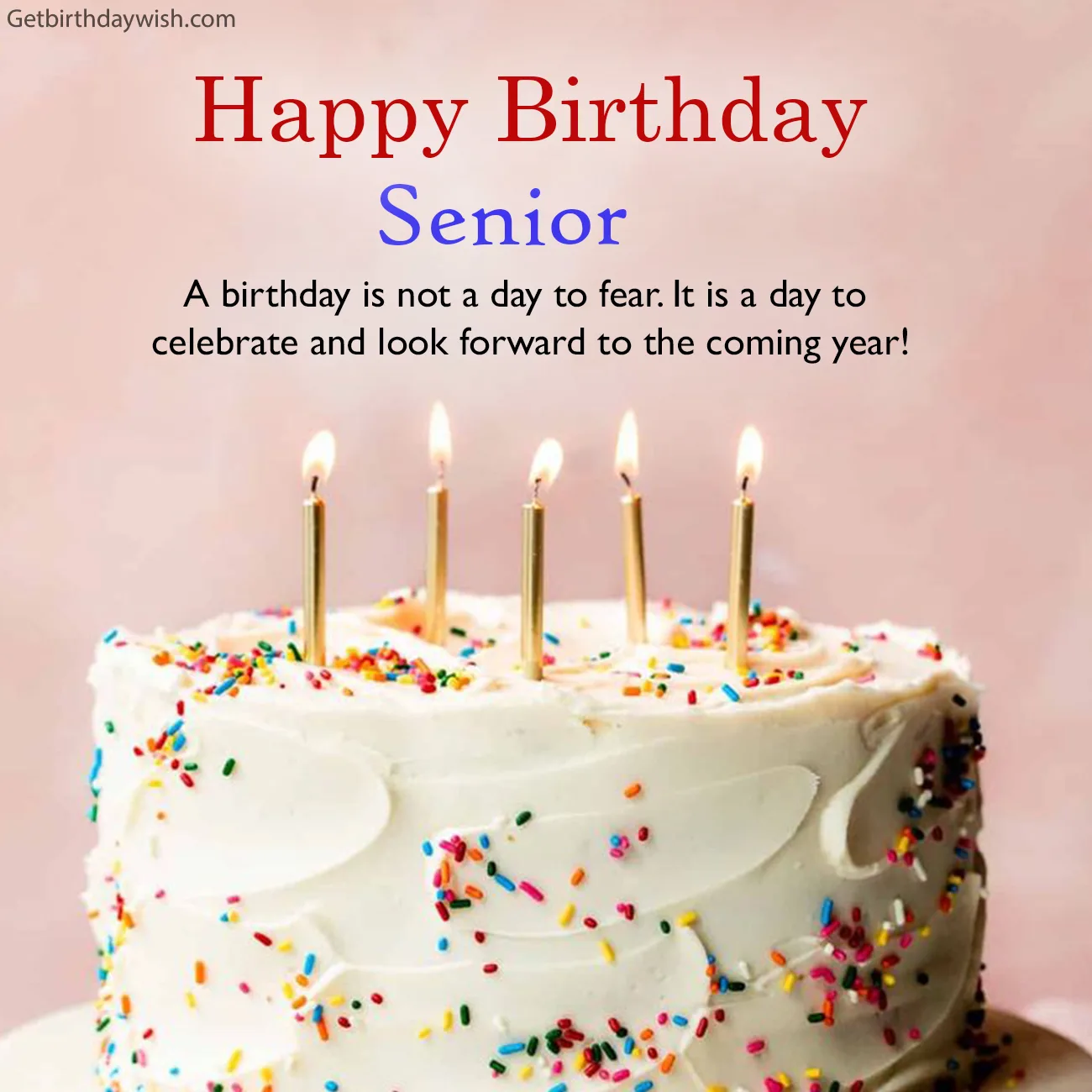 Birthday Wishes for Senior Image